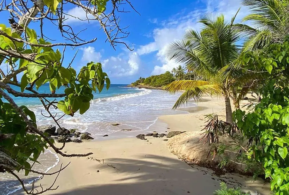 Апартаменты Joli Studio Le Caribbean Tropical Сент-Люс Мартиника